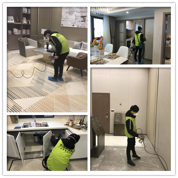 辦公室除甲醛 image085_副本.jpg